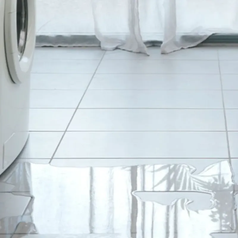 Appliance Leak Cleanup in Lakeside, FL